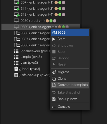 Converting the VM to a template
